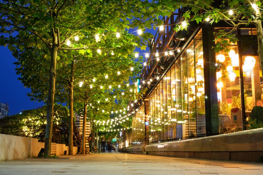 hanging lights in over a sidewalk of a tree lined street